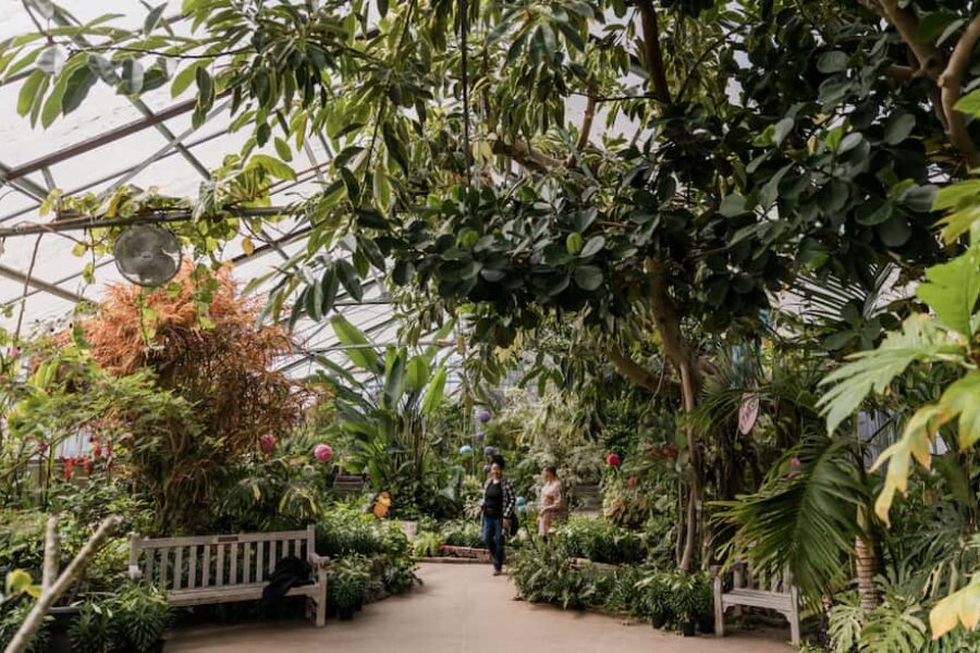 Luthy Botanical Garden
