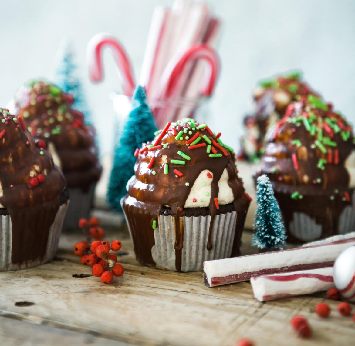 Peppermint Mocha in Greater Peoria